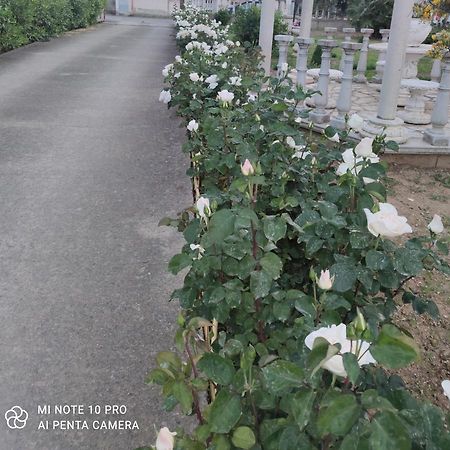 Вилла La Casa Delle Rose 2 Giba Экстерьер фото