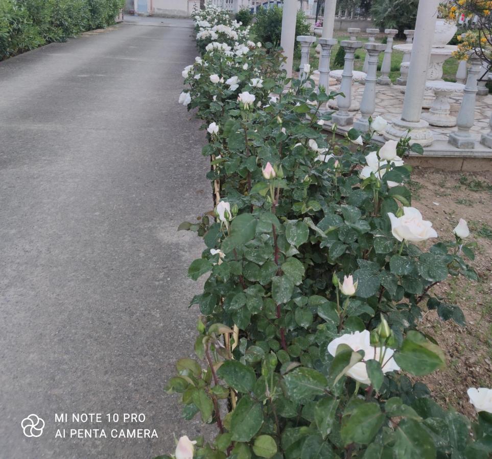 Вилла La Casa Delle Rose 2 Giba Экстерьер фото